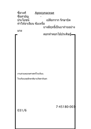 ชื่อวงศ์ Apocynaceae
ชื่อสามัญ -
ประโยชน์ เปลือกราก รักษาบิด
ทำาให้อาเจียน ขับเหงื่อ
ยางมีฤทธิ์เป็นยาถ่ายอย่าง
แรง
ดอกทำาดอกไม้ประดิษฐ์
งานสวนพฤกษศาสตร์โรงเรียน
โรงเรียนจตุพักตรพิมานรัชดาภิเษก
7-45180-003-
031/6
 
