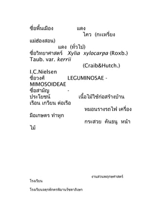 ชื่อพื้นเมือง แดง
ไคว (กะเหรี่ยง
แม่ฮ่องสอน)
แดง (ทั่วไป)
ชื่อวิทยาศาสตร์ Xylia xylocarpa (Roxb.)
Taub. var. kerrii
(Craib&Hutch.)
I.C.Nielsen
ชื่อวงศ์ LEGUMINOSAE -
MIMOSOIDEAE
ชื่อสามัญ -
ประโยชน์ เนื้อไม้ใช้ก่อสร้างบ้าน
เรือน เกวียน ต่อเรือ
หมอนรางรถไฟ เครื่อง
มือเกษตร ทำาหูก
กระสวย คันธนู หน้า
ไม้
งานสวนพฤกษศาสตร์
โรงเรียน
โรงเรียนจตุรพักตรพิมานรัชดาภิเษก
 