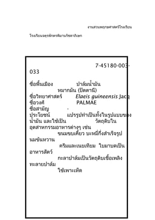 งานสวนพฤกษศาสตร์โรงเรียน
โรงเรียนจตุรพักตรพิมานรัชดาภิเษก
7-45180-003-
033
ชื่อพื้นเมือง ปาล์มนำ้ามัน
หมากมัน (ปัตตานี)
ชื่อวิทยาศาสตร์ Elaeis guineensis Jacq
ชื่อวงศ์ PALMAE
ชื่อสามัญ -
ประโยชน์ แปรรูปทำาเป็นทั้งในรูปแบบของ
นำ้ามัน และใช้เป็น วัตถุดิบใน
อุตสาหกรรมอาหารต่างๆ เช่น
ขนมขบเคี้ยว บะหมี่กึ่งสำาเร็จรูป
นมข้นหวาน
ครีมและเนยเทียม ใบมาบดเป็น
อาหารสัตว์
กะลาปาล์มเป็นวัตถุดิบเชื้อเพลิง
ทะลายปาล์ม
ใช้เพาะเห็ด
 