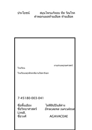 ประโยชน์ สมุนไพรแก้หอบ หืด วัณโรค
ตำาพอกแผลห้ามเลือด ห้ามเลือด
งานสวนพฤกษศาสตร์
โรงเรียน
โรงเรียนจตุรพักตรพิมานรัชดาภิเษก
7-45180-003-041
ชื่อพื้นเมือง ไผ่ฟิลิปปินส์ด่าง
ชื่อวิทยาศาสตร์ Dracaena surculosa
Lindl.
ชื่อวงศ์ AGAVACEAE
 