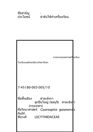 ชื่อสามัญ -
ประโยชน์ ลำาต้นใช้ทำาเครื่องเรือน
งานสวนพฤกษศาสตร์โรงเรียน
โรงเรียนจตุพักตรพิมานรัชดาภิเษก
7-45180-003-005/10
ชื่อพื้นเมือง สาละลังกา
ลูกปืนใหญ่ (ชลบุรี) สาละลังกา
(กรุงเทพฯ)
ชื่อวิทยาศาสตร์ Couroupita guianensis
Aubl.
ชื่อวงศ์ LECYTHIDACEAE
 