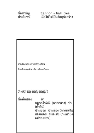 ชื่อสามัญ Cannon – ball tree
ประโยชน์ เนื้อไม้ใช้เป็นวัสดุก่อสร้าง
งานสวนพฤกษศาสตร์โรงเรียน
โรงเรียนจตุพักตรพิมานรัชดาภิเษก
7-45180-003-006/2
ชื่อพื้นเมือง ข่า
กฏุกกโรหินี (ภาคกลาง) ข่า
(ทั่วไป)
ข่าหยวก ข่าหลวง (ภาคเหนือ)
เสะเอเคย สะเอเชย (กะเหรี่ยง-
แม่ฮ่องสอน)
 