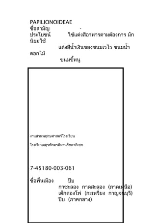 PAPILIONOIDEAE
ชื่อสามัญ -
ประโยชน์ ใช้แต่งสีอาหารตามต้องการ มัก
นิยมใช้
แต่งสีนำ้าเงินของขนมเรไร ขนมนำ้า
ดอกไม้
ขนมขี้หนู
งานสวนพฤกษศาสตร์โรงเรียน
โรงเรียนจตุรพักตรพิมานรัชดาภิเษก
7-45180-003-061
ชื่อพื้นเมือง ปีบ
กาซะลอง กาดสะลอง (ภาคเหนือ)
เต็กตองโพ่ (กะเหรี่ยง กาญจนบุรี)
ปีบ (ภาคกลาง)
 