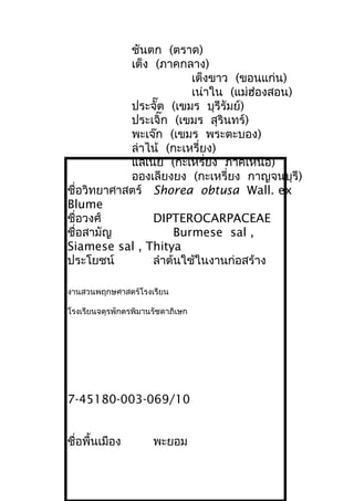 ชันตก (ตราด)
เต็ง (ภาคกลาง)
เต็งขาว (ขอนแก่น)
เน่าใน (แม่ฮ่องสอน)
ประจั๊ต (เขมร บุรีรัมย์)
ประเจิ๊ก (เขมร สุรินทร์)
พะเจ๊ก (เขมร พระตะบอง)
ล่าไน้ (กะเหรี่ยง)
แลเน่ย (กะเหรี่ยง ภาคเหนือ)
อองเลียงยง (กะเหรี่ยง กาญจนบุรี)
ชื่อวิทยาศาสตร์ Shorea obtusa Wall. ex
Blume
ชื่อวงศ์ DIPTEROCARPACEAE
ชื่อสามัญ Burmese sal ,
Siamese sal , Thitya
ประโยชน์ ลำาต้นใช้ในงานก่อสร้าง
งานสวนพฤกษศาสตร์โรงเรียน
โรงเรียนจตุรพักตรพิมานรัชดาภิเษก
7-45180-003-069/10
ชื่อพื้นเมือง พะยอม
 