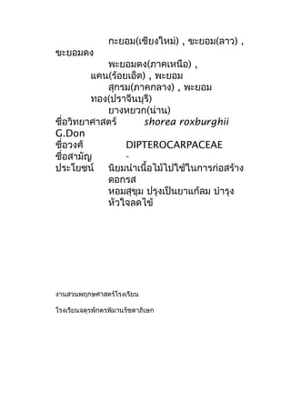 กะยอม(เชียงใหม่) , ขะยอม(ลาว) ,
ขะยอมดง
พะยอมดง(ภาคเหนือ) ,
แคน(ร้อยเอ็ด) , พะยอม
สุกรม(ภาคกลาง) , พะยอม
ทอง(ปราจีนบุรี)
ยางหยวก(น่าน)
ชื่อวิทยาศาสตร์ shorea roxburghii
G.Don
ชื่อวงศ์ DIPTEROCARPACEAE
ชื่อสามัญ -
ประโยชน์ นิยมนำาเนื้อไม้ไปใช้ในการก่อสร้าง
ดอกรส
หอมสุขุม ปรุงเป็นยาแก้ลม บำารุง
หัวใจลดไข้
งานสวนพฤกษศาสตร์โรงเรียน
โรงเรียนจตุรพักตรพิมานรัชดาภิเษก
 