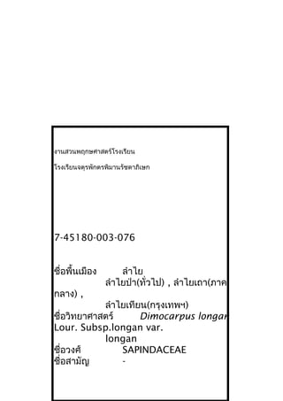 งานสวนพฤกษศาสตร์โรงเรียน
โรงเรียนจตุรพักตรพิมานรัชดาภิเษก
7-45180-003-076
ชื่อพื้นเมือง ลำาไย
ลำาไยป่า(ทั่วไป) , ลำาไยเถา(ภาค
กลาง) ,
ลำาไยเทียน(กรุงเทพฯ)
ชื่อวิทยาศาสตร์ Dimocarpus longan
Lour. Subsp.longan var.
longan
ชื่อวงศ์ SAPINDACEAE
ชื่อสามัญ -
 