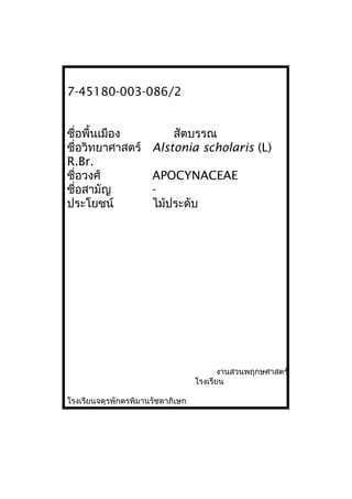 7-45180-003-086/2
ชื่อพื้นเมือง สัตบรรณ
ชื่อวิทยาศาสตร์ Alstonia scholaris (L)
R.Br.
ชื่อวงศ์ APOCYNACEAE
ชื่อสามัญ -
ประโยชน์ ไม้ประดับ
งานสวนพฤกษศาสตร์
โรงเรียน
โรงเรียนจตุรพักตรพิมานรัชดาภิเษก
 