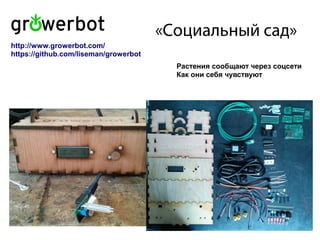 «Социальный сад»
Растения сообщают через соцсети
Как они себя чувствуют
http://www.growerbot.com/
https://github.com/liseman/growerbot
 