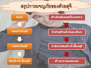 ระบบสืบพันธุ์เพศชาย