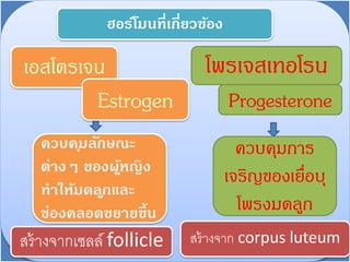 เอสโตรเจน
ควบคุมลักษณะ
ต่ำงๆ ของผู้หญิง
ทำให้มดลูกและ
ช่องคลอดขยำยขึ้น
โพรเจสเทอโรน
ฮอร์โมนที่เกี่ยวข้อง
Progesterone
ควบคุมการ
เจริญของเยื่อบุ
โพรงมดลูก
สร้างจากเซลล์ follicle
Estrogen
สร้างจาก corpus luteum
 