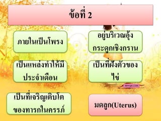 ข้อที่ 2
ภำยในเป็นโพรง
เป็นแหล่งทำให้มี
ประจำเดือน
อยู่บริเวณอุ้ง
กระดูกเชิงกรำน
เป็นที่ฝังตัวของ
ไข่
เป็นที่เจริญเติบโต
ของทำรกในครรภ์ มดลูก(Uterus)
 