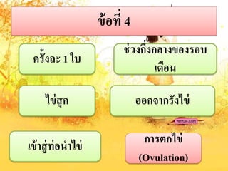 ข้อที่ 4
ครั้งละ 1 ใบ
ไข่สุก
ช่วงกึ่งกลำงของรอบ
เดือน
ออกจำกรังไข่
เข้ำสู่ท่อนำไข่ กำรตกไข่
(Ovulation)
 