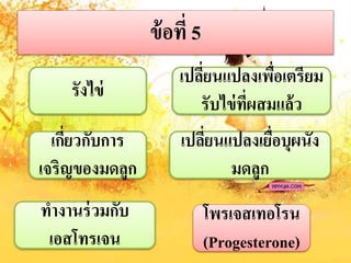 ข้อที่ 5
รังไข่
เกี่ยวกับกำร
เจริญของมดลูก
เปลี่ยนแปลงเพื่อเตรียม
รับไข่ที่ผสมแล้ว
เปลี่ยนแปลงเยื่อบุผนัง
มดลูก
ทำงำนร่วมกับ
เอสโทรเจน
โพรเจสเทอโรน
(Progesterone)
 