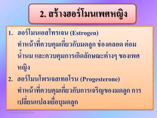 www.themegallery.com
1. ฮอร์โมนเอสโทรเจน (Estrogen)
ทำหน้ำที่ควบคุมเกี่ยวกับมดลูก ช่องคลอด ต่อม
น้ำนม และควบคุมกำรเกิดลักษณะต่ำงๆ ของเพศ
หญิง
2. ฮอร์โมนโพรเจสเทอโรน (Progesterone)
ทำหน้ำที่ควบคุมเกี่ยวกับกำรเจริญของมดลูก กำร
เปลี่ยนแปลงเยื่อบุมดลูก
2. สร้ำงฮอร์โมนเพศหญิง
 