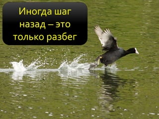 Иногда шаг
назад – это
только разбег
 