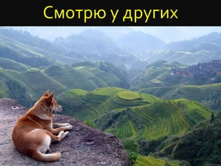 Смотрю у других
 