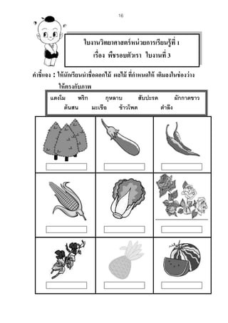 16
คำชี้แจง : ให้นักเรียนนำชื่อดอกไม้ ผลไม้ ที่กำหนดให้ เติมลงในช่องว่ำง
ให้ตรงกับภำพ
ใบงานวิทยาศาสตร์หน่วยการเรียนรู้ที่ 1
เรื่อง พืชรอบตัวเรา ใบงานที่ 3
แตงโม พริก กุหลาบ สับปะรด ผักกาดขาว
ต้นสน มะเขือ ข้าวโพด ตาลึง
 