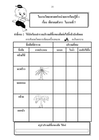 แบบฝึกหัด การทดลองสุ่มและเหตุการณ์ ม. 4