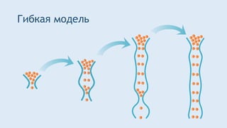 Гибкая модель
 
