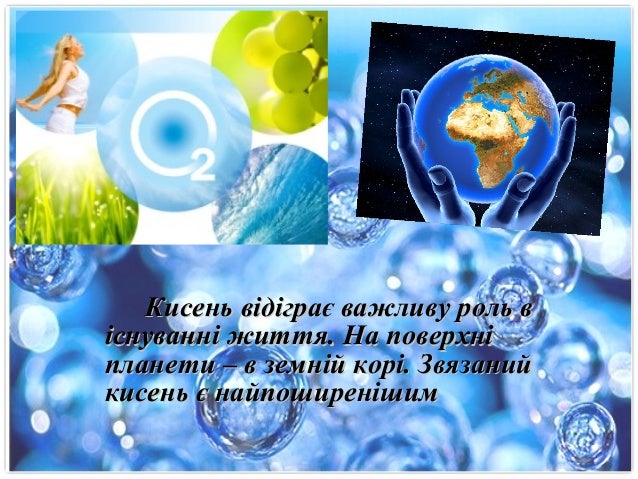 Колообіг Оксигену Реферати Колообіг Оксигену Реферати