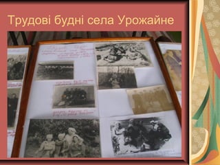 Трудові будні села Урожайне
 