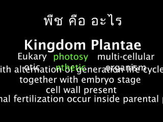 Kingdom Plantae
Eukary
oticith alternation of generation life cycle
together with embryo stage
cell wall present
nal fertilization occur inside parental p
photosy
nthetic
multi-cellular
organism
พืช คือ อะไร
 