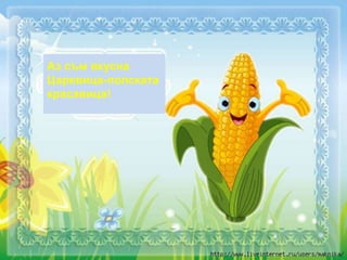 Аз съм вкусна
Царевица-полската
красавица!
 