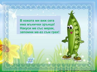 В кожата ми виж сега
има мънички зрънца!
Накуси ме със мерак,
запомни ме-аз съм грах!
 
