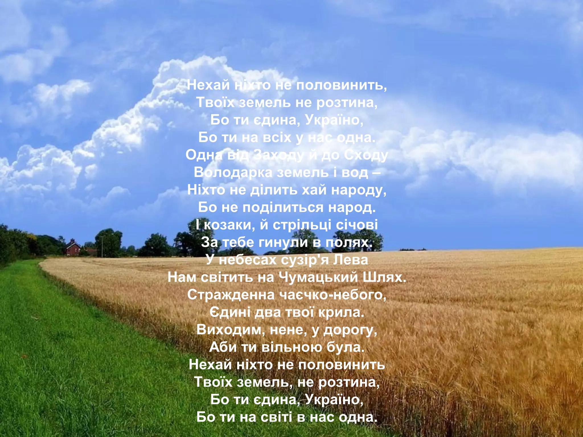 Нехай ніхто не половинить,
Твоїх земель не розтина,
Бо ти єдина, Україно,
Бо ти на всіх у нас одна.
Одна від Заходу й до Сходу
Володарка земель і вод –
Ніхто не ділить хай народу,
Бо не поділиться народ.
І козаки, й стрільці січові
За тебе гинули в полях.
У небесах сузір'я Лева
Нам світить на Чумацький Шлях.
Стражденна чаєчко-небого,
Єдині два твої крила.
Виходим, нене, у дорогу,
Аби ти вільною була.
Нехай ніхто не половинить
Твоїх земель, не розтина,
Бо ти єдина, Україно,
Бо ти на світі в нас одна.
 