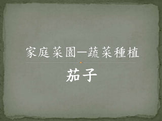 家庭菜園 蔬菜種植茄子