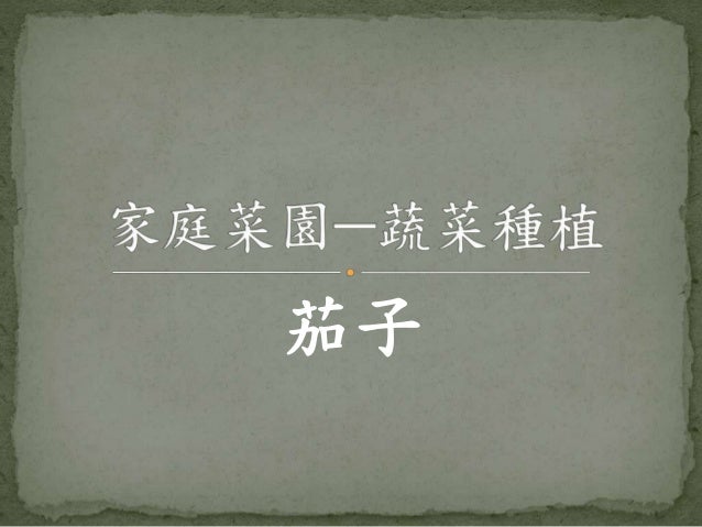 家庭菜園 蔬菜種植茄子