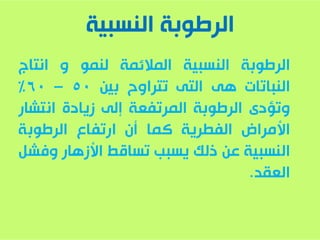 زراعة الفاصولياء