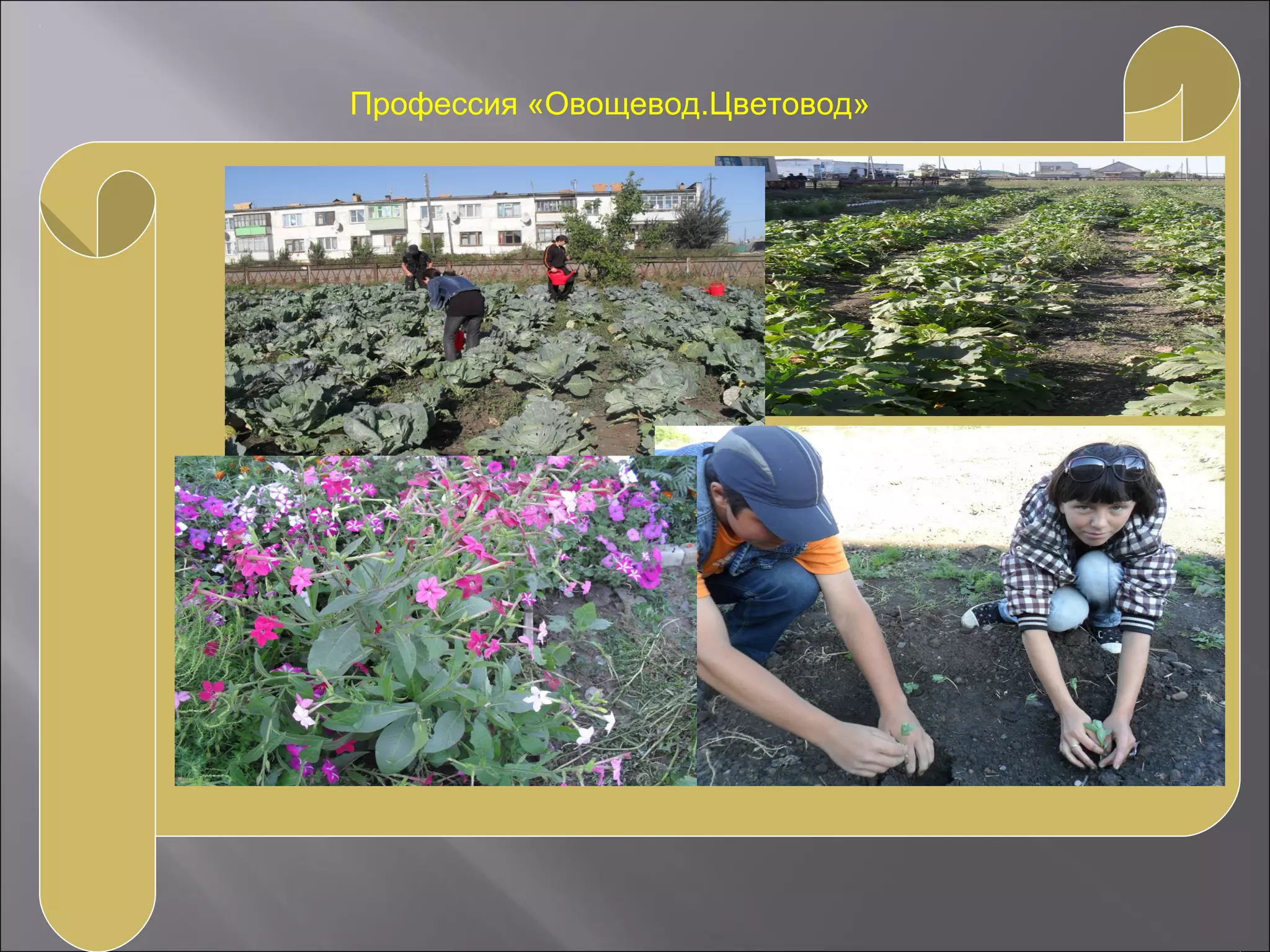 Профессия «Овощевод.Цветовод»
 