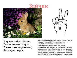 Зайчик
У кущах зайко зітхає,
Все мовчить і слуха.
В нього голосу немає,
Зате довгі вуха.
Вказівний і середній пальці витяг...