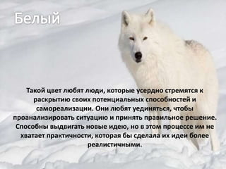 Такой цвет любят люди, которые усердно стремятся к
раскрытию своих потенциальных способностей и
самореализации. Они любят уединяться, чтобы
проанализировать ситуацию и принять правильное решение.
Способны выдвигать новые идею, но в этом процессе им не
хватает практичности, которая бы сделала их идеи более
реалистичными.
 