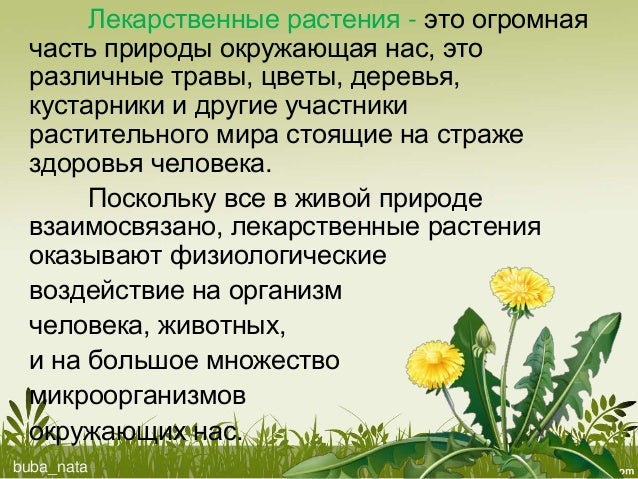 Реферат