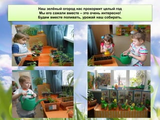 Наш зелёный огород нас прокормит целый год
Мы его сажали вместе – это очень интересно!
Будем вместе поливать, урожай наш собирать.
 