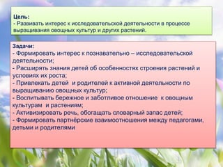 Цель:
- Развивать интерес к исследовательской деятельности в процессе
выращивания овощных культур и других растений.
Задачи:
- Формировать интерес к познавательно – исследовательской
деятельности;
- Расширять знания детей об особенностях строения растений и
условиях их роста;
- Привлекать детей и родителей к активной деятельности по
выращиванию овощных культур;
- Воспитывать бережное и заботливое отношение к овощным
культурам и растениям;
- Активизировать речь, обогащать словарный запас детей;
- Формировать партнёрские взаимоотношения между педагогами,
детьми и родителями
 