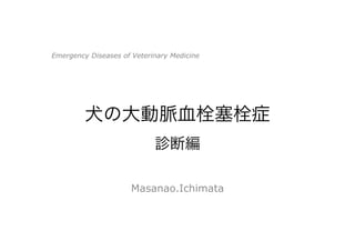 犬の大動脈血栓塞栓症
診断編
Masanao.Ichimata
Emergency Diseases of Veterinary Medicine
 