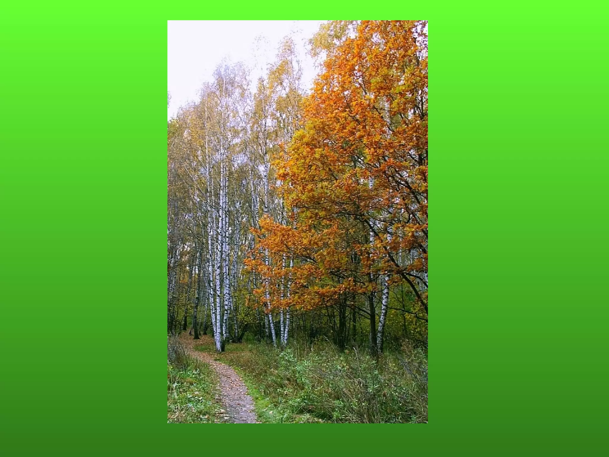 Пляхин, презентация к  уроку