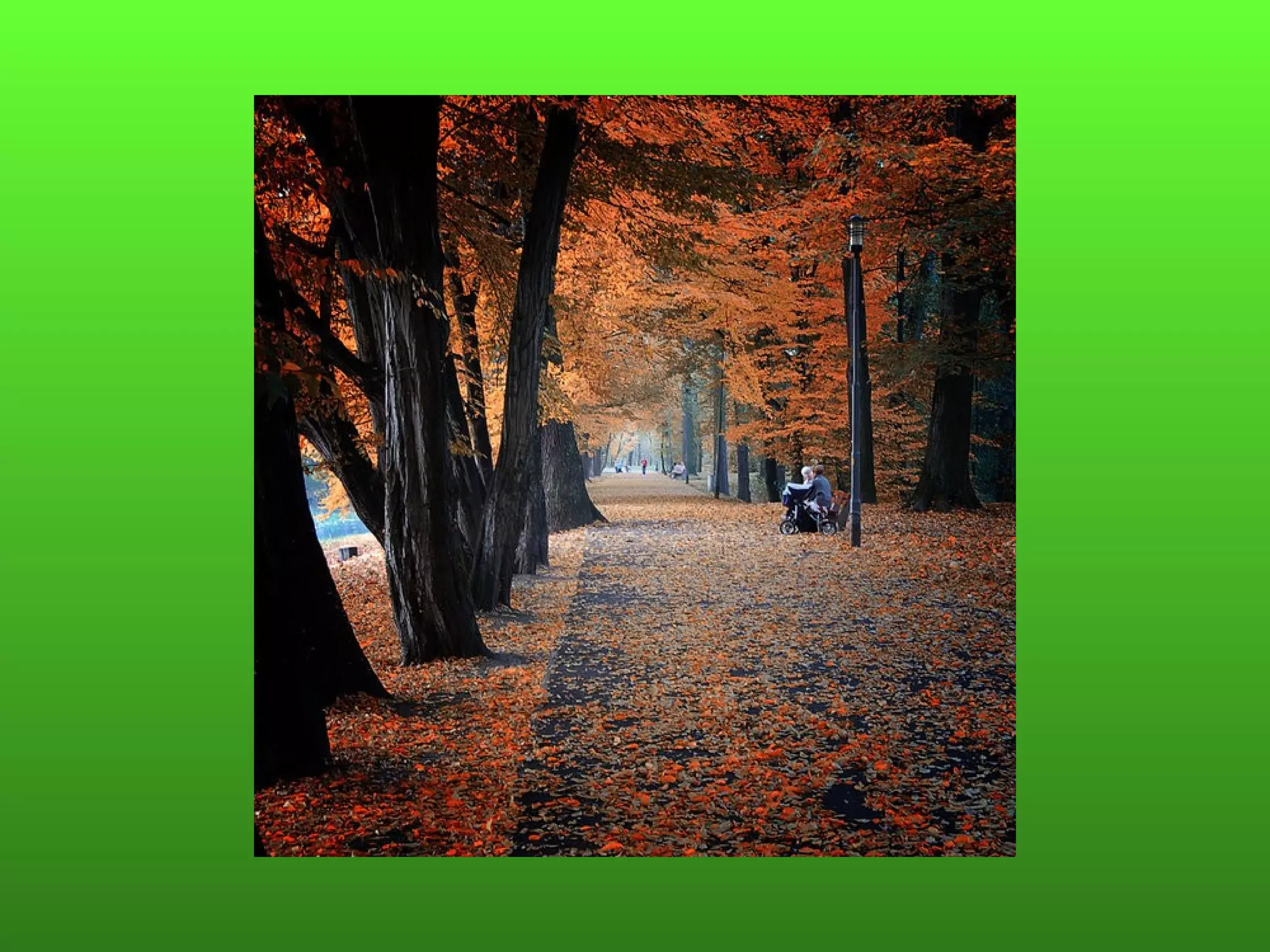 Пляхин, презентация к  уроку