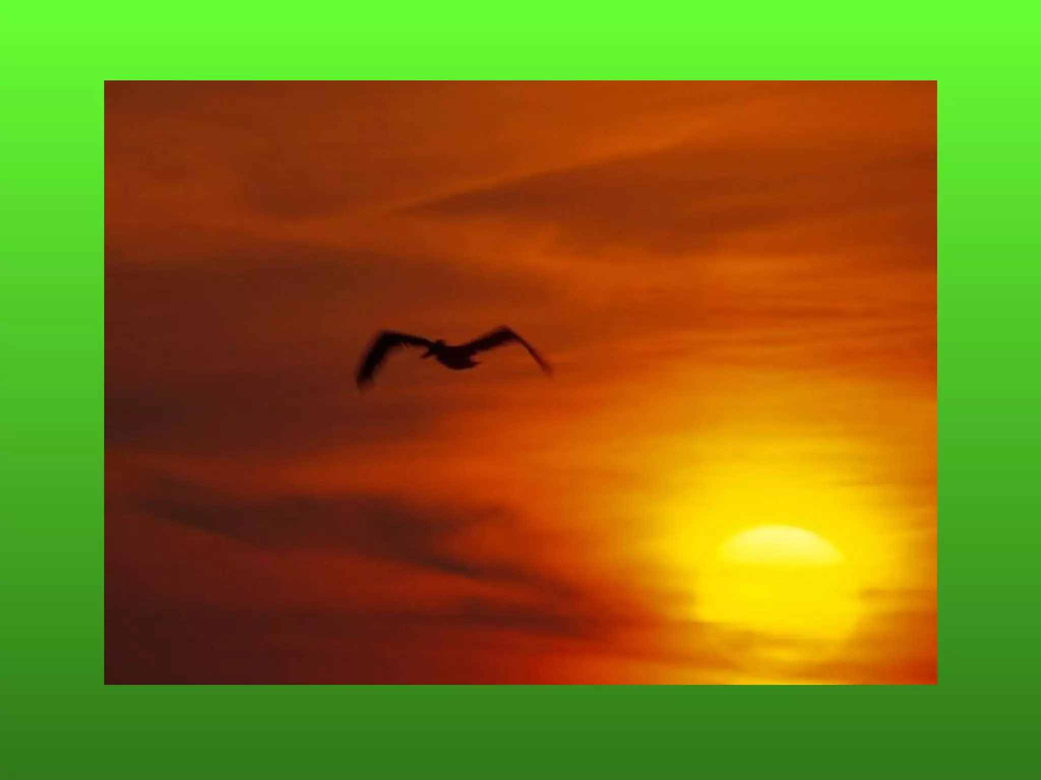 Пляхин, презентация к  уроку