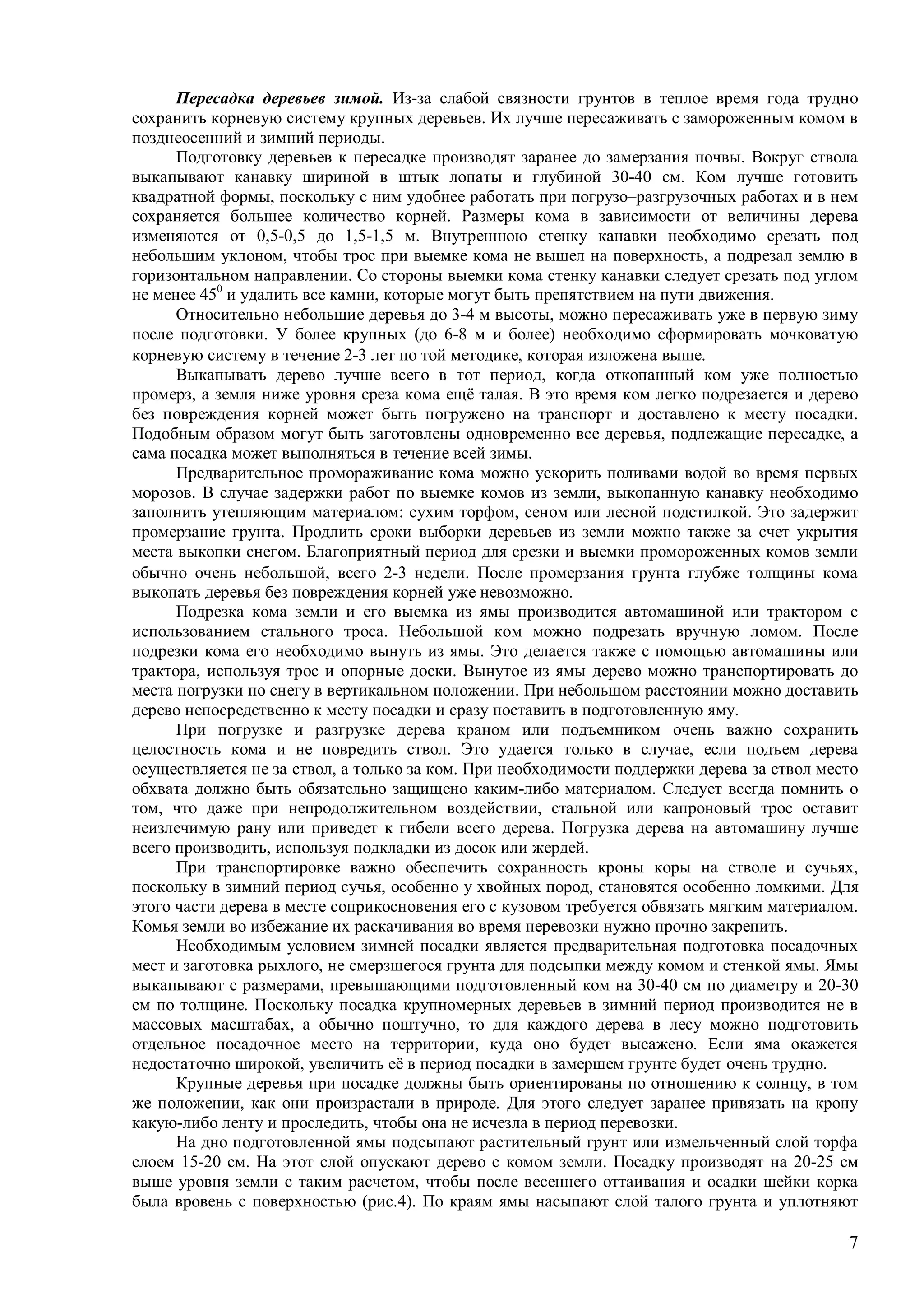 7
Пересадка деревьев зимой. Из-за слабой связности грунтов в теплое время года трудно
сохранить корневую систему крупных деревьев. Их лучше пересаживать с замороженным комом в
позднеосенний и зимний периоды.
Подготовку деревьев к пересадке производят заранее до замерзания почвы. Вокруг ствола
выкапывают канавку шириной в штык лопаты и глубиной 30-40 см. Ком лучше готовить
квадратной формы, поскольку с ним удобнее работать при погрузо–разгрузочных работах и в нем
сохраняется большее количество корней. Размеры кома в зависимости от величины дерева
изменяются от 0,5-0,5 до 1,5-1,5 м. Внутреннюю стенку канавки необходимо срезать под
небольшим уклоном, чтобы трос при выемке кома не вышел на поверхность, а подрезал землю в
горизонтальном направлении. Со стороны выемки кома стенку канавки следует срезать под углом
не менее 450
и удалить все камни, которые могут быть препятствием на пути движения.
Относительно небольшие деревья до 3-4 м высоты, можно пересаживать уже в первую зиму
после подготовки. У более крупных (до 6-8 м и более) необходимо сформировать мочковатую
корневую систему в течение -3 лет по той методике, которая изложена выше.
Выкапывать дерево лучше всего в тот период, когда откопанный ком уже полностью
промерз, а земля ниже уровня среза кома ещё талая. В это время ком легко подрезается и дерево
без повреждения корней может быть погружено на транспорт и доставлено к месту посадки.
Подобным образом могут быть заготовлены одновременно все деревья, подлежащие пересадке, а
сама посадка может выполняться в течение всей зимы.
Предварительное промораживание кома можно ускорить поливами водой во время первых
морозов. В случае задержки работ по выемке комов из земли, выкопанную канавку необходимо
заполнить утепляющим материалом: сухим торфом, сеном или лесной подстилкой. Это задержит
промерзание грунта. Продлить сроки выборки деревьев из земли можно также за счет укрытия
места выкопки снегом. Благоприятный период для срезки и выемки промороженных комов земли
обычно очень небольшой, всего -3 недели. После промерзания грунта глубже толщины кома
выкопать деревья без повреждения корней уже невозможно.
Подрезка кома земли и его выемка из ямы производится автомашиной или трактором с
использованием стального троса. Небольшой ком можно подрезать вручную ломом. После
подрезки кома его необходимо вынуть из ямы. Это делается также с помощью автомашины или
трактора, используя трос и опорные доски. Вынутое из ямы дерево можно транспортировать до
места погрузки по снегу в вертикальном положении. При небольшом расстоянии можно доставить
дерево непосредственно к месту посадки и сразу поставить в подготовленную яму.
При погрузке и разгрузке дерева краном или подъемником очень важно сохранить
целостность кома и не повредить ствол. Это удается только в случае, если подъем дерева
осуществляется не за ствол, а только за ком. При необходимости поддержки дерева за ствол место
обхвата должно быть обязательно защищено каким-либо материалом. Следует всегда помнить о
том, что даже при непродолжительном воздействии, стальной или капроновый трос оставит
неизлечимую рану или приведет к гибели всего дерева. Погрузка дерева на автомашину лучше
всего производить, используя подкладки из досок или жердей.
При транспортировке важно обеспечить сохранность кроны коры на стволе и сучьях,
поскольку в зимний период сучья, особенно у хвойных пород, становятся особенно ломкими. Для
этого части дерева в месте соприкосновения его с кузовом требуется обвязать мягким материалом.
Комья земли во избежание их раскачивания во время перевозки нужно прочно закрепить.
Необходимым условием зимней посадки является предварительная подготовка посадочных
мест и заготовка рыхлого, не смерзшегося грунта для подсыпки между комом и стенкой ямы. Ямы
выкапывают с размерами, превышающими подготовленный ком на 30-40 см по диаметру и 20-30
см по толщине. Поскольку посадка крупномерных деревьев в зимний период производится не в
массовых масштабах, а обычно поштучно, то для каждого дерева в лесу можно подготовить
отдельное посадочное место на территории, куда оно будет высажено. Если яма окажется
недостаточно широкой, увеличить её в период посадки в замершем грунте будет очень трудно.
Крупные деревья при посадке должны быть ориентированы по отношению к солнцу, в том
же положении, как они произрастали в природе. Для этого следует заранее привязать на крону
какую-либо ленту и проследить, чтобы она не исчезла в период перевозки.
На дно подготовленной ямы подсыпают растительный грунт или измельченный слой торфа
слоем 15-20 см. На этот слой опускают дерево с комом земли. Посадку производят на 20-25 см
выше уровня земли с таким расчетом, чтобы после весеннего оттаивания и осадки шейки корка
была вровень с поверхностью (рис.4). По краям ямы насыпают слой талого грунта и уплотняют
 