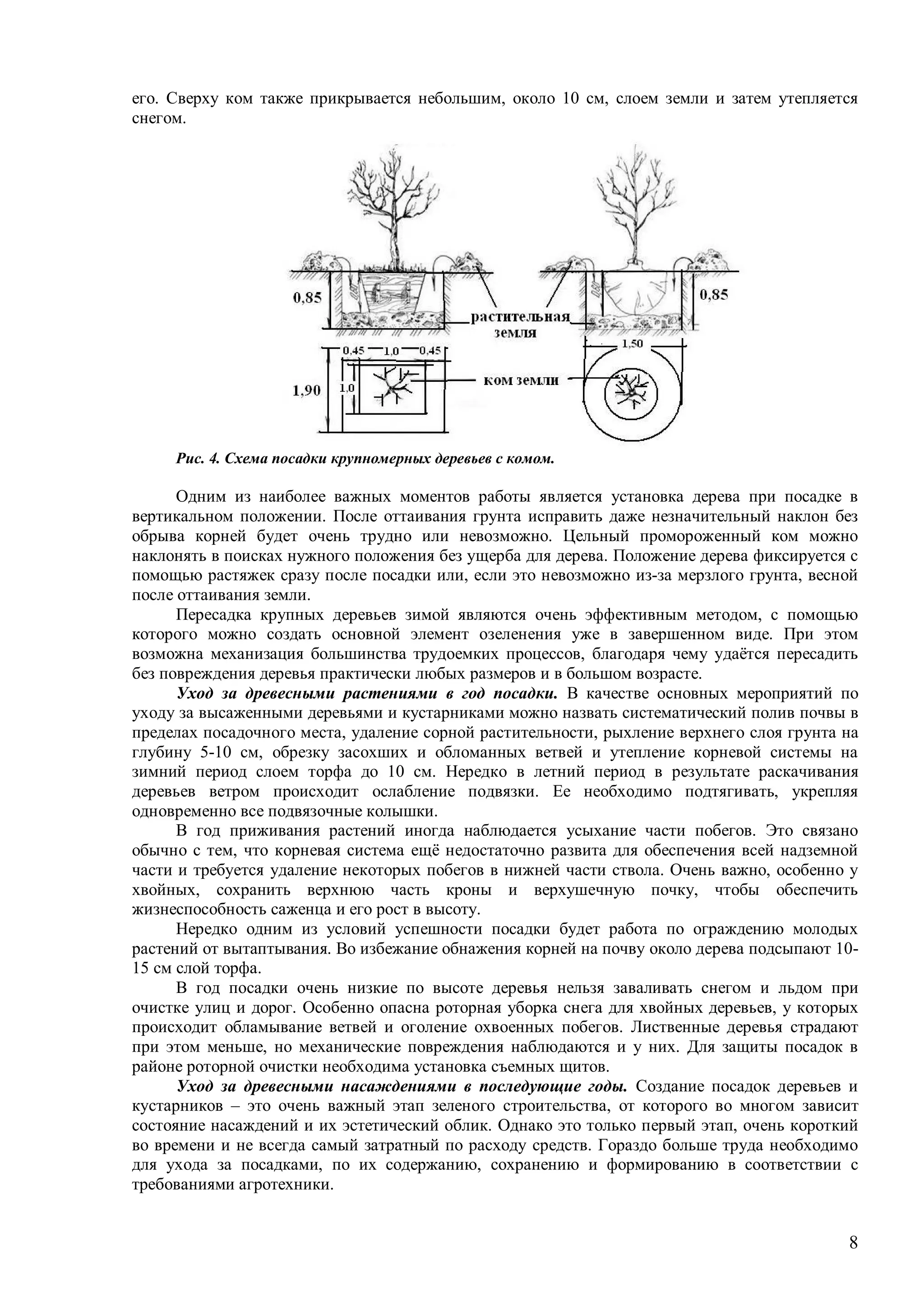8
его. Сверху ком также прикрывается небольшим, около 10 см, слоем земли и затем утепляется
снегом.
Рис. 4. Схема посадки крупномерных деревьев с комом.
Одним из наиболее важных моментов работы является установка дерева при посадке в
вертикальном положении. После оттаивания грунта исправить даже незначительный наклон без
обрыва корней будет очень трудно или невозможно. Цельный промороженный ком можно
наклонять в поисках нужного положения без ущерба для дерева. Положение дерева фиксируется с
помощью растяжек сразу после посадки или, если это невозможно из-за мерзлого грунта, весной
после оттаивания земли.
Пересадка крупных деревьев зимой являются очень эффективным методом, с помощью
которого можно создать основной элемент озеленения уже в завершенном виде. При этом
возможна механизация большинства трудоемких процессов, благодаря чему удаётся пересадить
без повреждения деревья практически любых размеров и в большом возрасте.
Уход за древесными растениями в год посадки. В качестве основных мероприятий по
уходу за высаженными деревьями и кустарниками можно назвать систематический полив почвы в
пределах посадочного места, удаление сорной растительности, рыхление верхнего слоя грунта на
глубину 5-10 см, обрезку засохших и обломанных ветвей и утепление корневой системы на
зимний период слоем торфа до 10 см. Нередко в летний период в результате раскачивания
деревьев ветром происходит ослабление подвязки. Ее необходимо подтягивать, укрепляя
одновременно все подвязочные колышки.
В год приживания растений иногда наблюдается усыхание части побегов. Это связано
обычно с тем, что корневая система ещё недостаточно развита для обеспечения всей надземной
части и требуется удаление некоторых побегов в нижней части ствола. Очень важно, особенно у
хвойных, сохранить верхнюю часть кроны и верхушечную почку, чтобы обеспечить
жизнеспособность саженца и его рост в высоту.
Нередко одним из условий успешности посадки будет работа по ограждению молодых
растений от вытаптывания. Во избежание обнажения корней на почву около дерева подсыпают 10-
15 см слой торфа.
В год посадки очень низкие по высоте деревья нельзя заваливать снегом и льдом при
очистке улиц и дорог. Особенно опасна роторная уборка снега для хвойных деревьев, у которых
происходит обламывание ветвей и оголение охвоенных побегов. Лиственные деревья страдают
при этом меньше, но механические повреждения наблюдаются и у них. Для защиты посадок в
районе роторной очистки необходима установка съемных щитов.
Уход за древесными насаждениями в последующие годы. Создание посадок деревьев и
кустарников – это очень важный этап зеленого строительства, от которого во многом зависит
состояние насаждений и их эстетический облик. Однако это только первый этап, очень короткий
во времени и не всегда самый затратный по расходу средств. Гораздо больше труда необходимо
для ухода за посадками, по их содержанию, сохранению и формированию в соответствии с
требованиями агротехники.
 