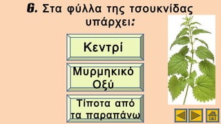 6. Στα φύλλα της τσουκνίδας
:υπάρχει
Τίποτα από
τα παραπάνω
Μυρμηκικό
Οξύ
Κεντρί
 