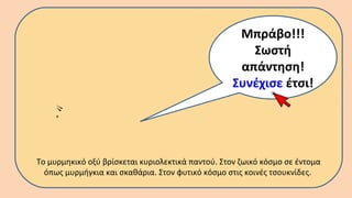Το μυρμηκικό οξύ βρίσκεται κυριολεκτικά παντού. Στον ζωικό κόσμο σε έντομα
όπως μυρμήγκια και σκαθάρια. Στον φυτικό κόσμο στις κοινές τσουκνίδες.
Μπράβο!!!
Σωστή
απάντηση!
Συνέχισε έτσι!
 