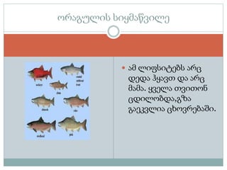  ამ ლიფსიტებს არც
დედა ჰყავთ და არც
მამა. ყველა თვითონ
ცდილობდა,გზა
გაეკვლია ცხოვრებაში.
ორაგულის სიყმაწვილე
 