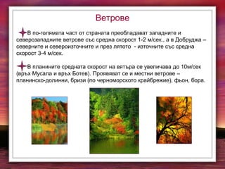 Ветрове
В по-голямата част от страната преобладават западните и
северозападните ветрове със средна скорост 1-2 м/сек., а в Добруджа –
северните и североизточните и през лятото - източните със средна
скорост 3-4 м/сек.
В планините средната скорост на вятъра се увеличава до 10м/сек
(връх Мусала и връх Ботев). Проявяват се и местни ветрове –
планинско-долинни, бризи (по черноморското крайбрежие), фьон, бора.
 