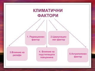 1. Радиационен
фактор
КЛИМАТИЧНИ
ФАКТОРИ
2.Циркулацио-
нен фактор
3.Влияние на
релефа
4. Влияние на
подстилащата
повърхнина
5.Антропогенен
фактор
 
