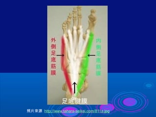 照片來源 http://www.tahara-seikei.com/811a.jpg 
 